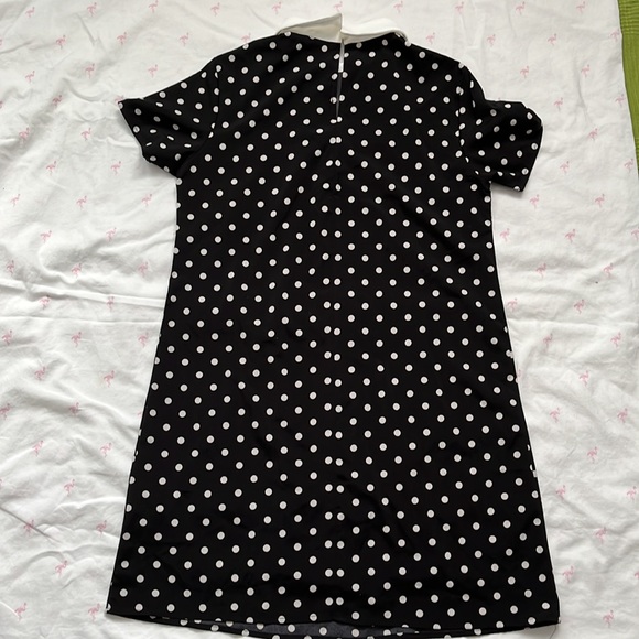 Polka Dot Collard Dress - Picture 3 of 3